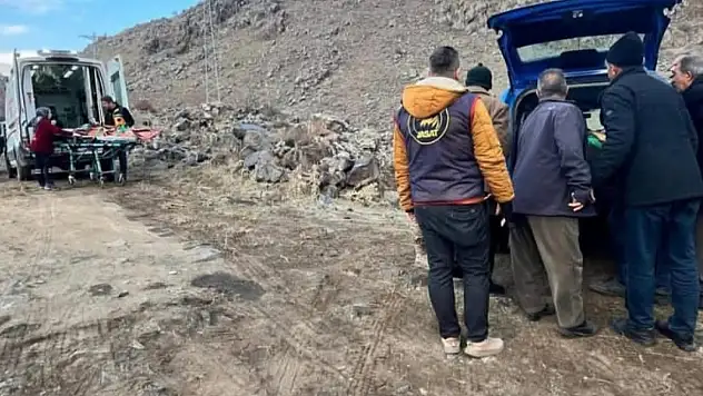 Doğubayazıt'ta ayı saldırısı: 1 kişi ağır yaralandı