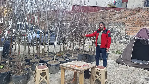 Doğubayazıt'ta bahar geldi fidanlar görücüye çıktı