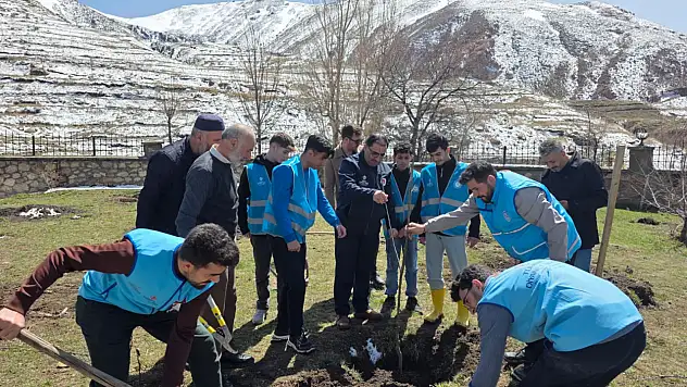 Doğubayazıt'ta gençler fidanları toprakla buluşturdu