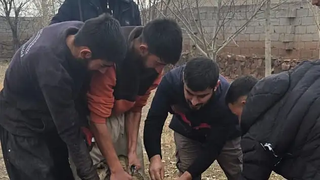 Doğubayazıt'ta köy ve mahallelerde veteriner ekipleri görevde