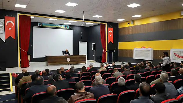 Doğubayazıt'ta sahipsiz hayvanlar sorunu çözüme kavuşuyor