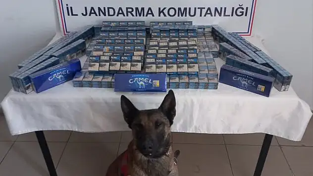 Doğubayazıt ve Taşlıçay'da kaçakçılara büyük darbe