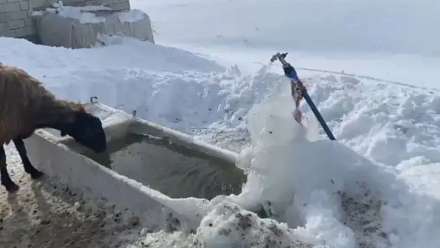 Dondurucu hava Ağrı'yı teslim aldı