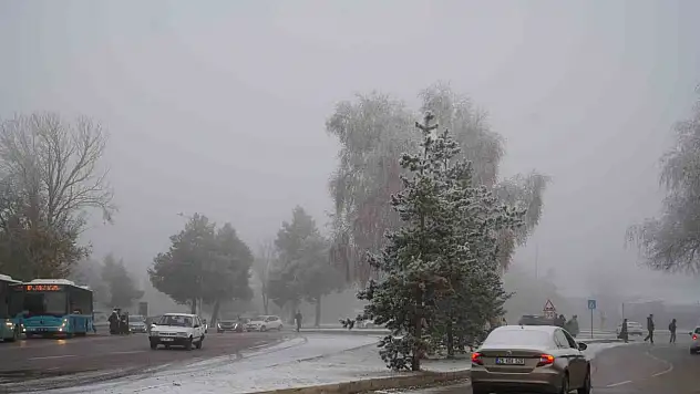 Ekim'de Türkiye'de 178 bin araç trafiğe kaydedildi, Erzurum'un ihraçları 4 bin 613'e ulaştı