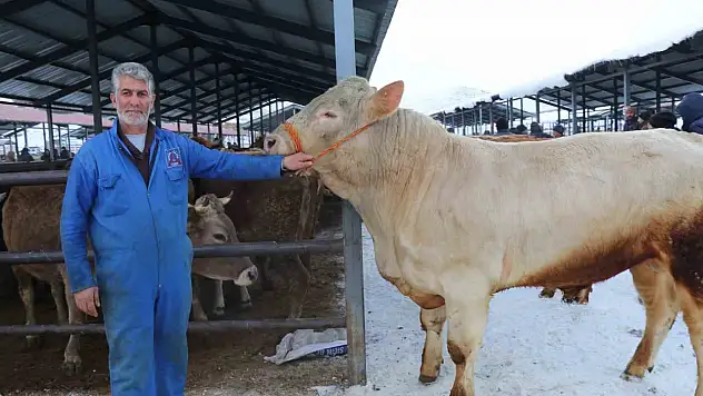 Eksi 15'te pazarlık: Oltu hayvan pazarı soğuğa teslim olmadı