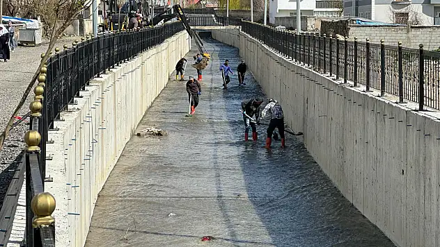 Eleşkirt'in Kaşesor deresinde temizlik çalışmaları başladı
