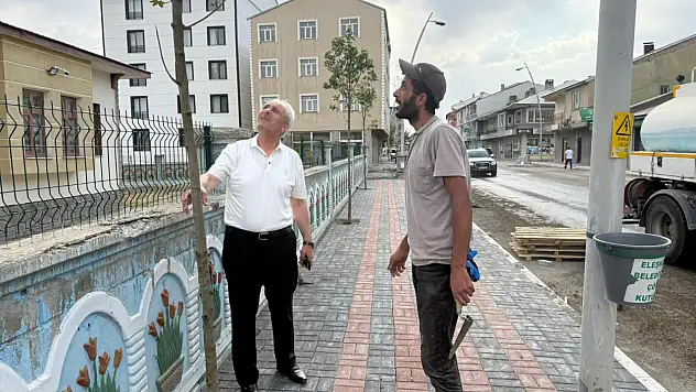 Eleşkirt'te kaldırım ve ağaçlandırma çalışmaları sürüyor