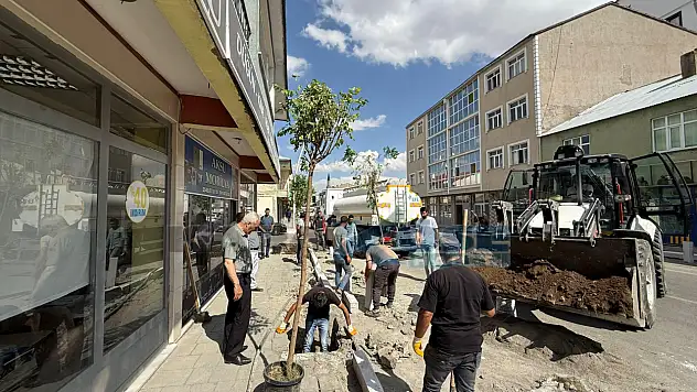 Eleşkirt'te kaldırımlar onarılıyor, yeni fidanlar toprakla buluşuyor