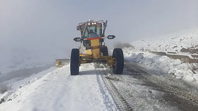 Eleşkirt'te kar ve tipi nedeniyle kapanan köy yolları yeniden ulaşıma açıldı