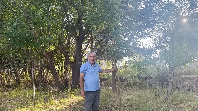 Emekliliğini bahçesinde üretime dönüştürdü