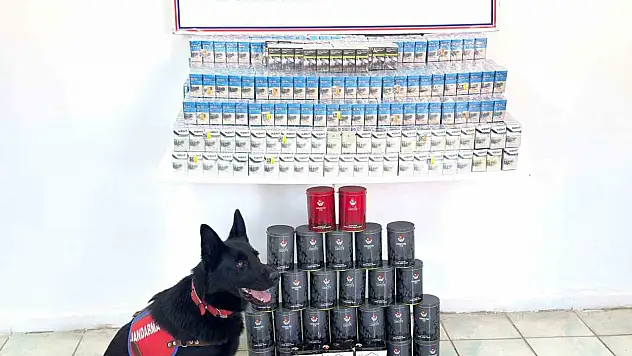 Erciş'te jandarmadan kaçak sigara ve çay operasyonu: 2.590 paket ele geçirildi