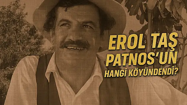 Erol Taş Patnos'un Hangi Köyündendi?