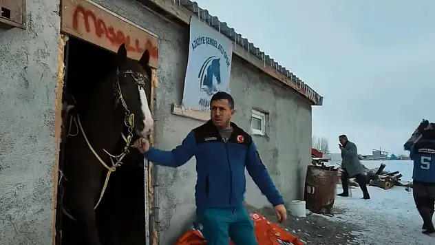 Erzurum Aziziye'de Yaban Hayatı İçin Anlamlı Seferberlik