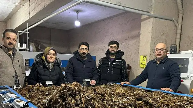 Erzurum'da atık yünler ihracata hazırlanıyor