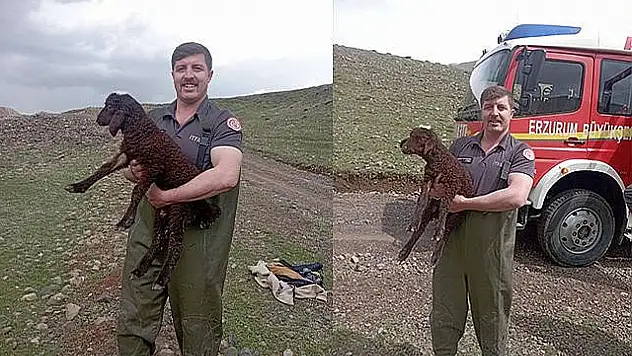 Erzurum'da bataklıkta mahsur kalan koyunu itfaiye kurtardı