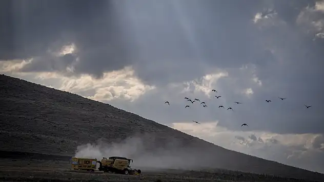 Erzurum'da belediyenin biçerdöverleri çiftçinin mahsulünü tarlada bırakmıyor