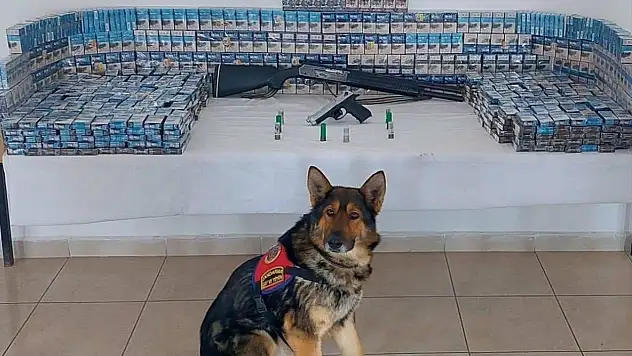 Erzurum'da dedektör köpek 'Zahir' kaçakçılığa geçit yok