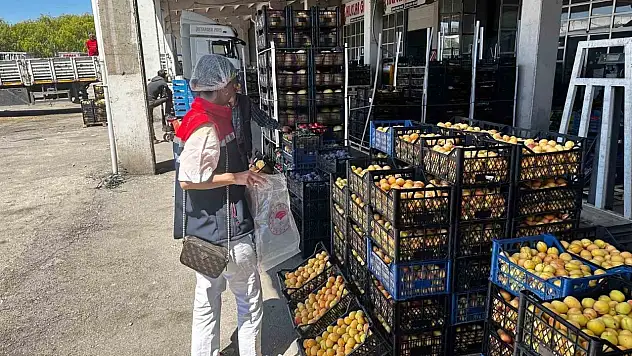 Erzurum'da Gıda İşletmeleri Üzerinde Denetim Gerçekleştirildi