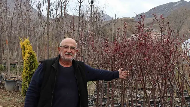 Erzurum'da iklime uygun fidanlarla doğa yeşeriyor