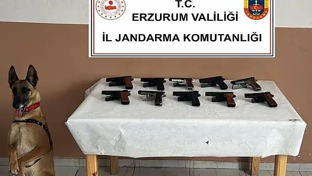 Erzurum'da jandarma operasyonunda 10 ruhsatsız silah ele geçirildi, 1 kişi gözaltına alındı