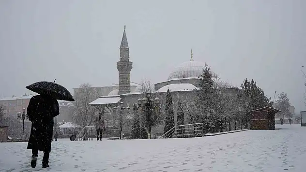 Erzurum'da kar yağışı etkili oluyor