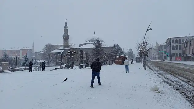 Erzurum'da kar yağışı hayatı olumsuz etkiliyor