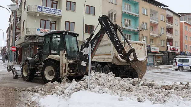 Erzurum'da kar yağışı ilçeleri felç etti