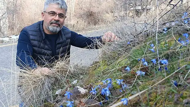 Erzurum'da karın içinden bahar çıktı