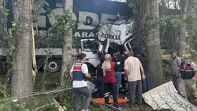 Erzurum'da kontrolden çıkan tır ağaçlara çarptı: Sürücü yaşamını yitirdi