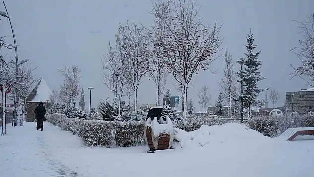 Erzurum'da kuvvetli kar ve çığ uyarısı