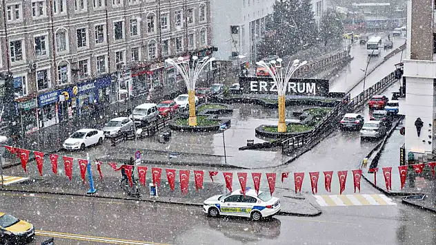 Erzurum'da Mayıs'ta Kar Yağışı Görüldü