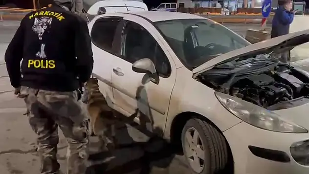 Erzurum'da narkotik köpeği Hera, uyuşturucu tacirlerine geçit vermedi