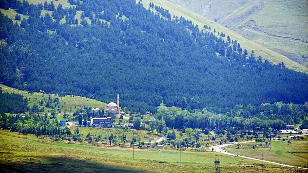Erzurum'da Orman Yangınlarına Karşı Kapsamlı Önlemler Alındı