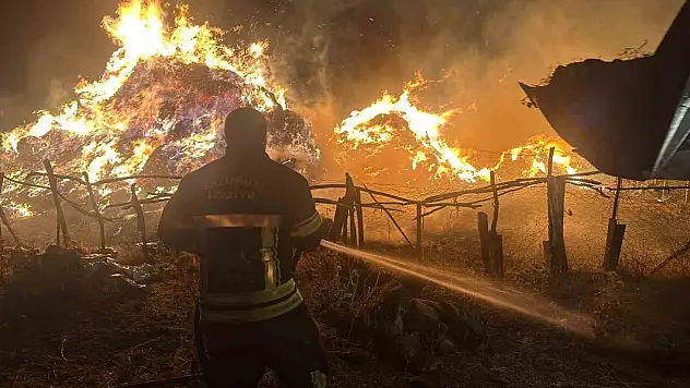 Erzurum'da ot yangını: 2 bin 500 balya kül oldu