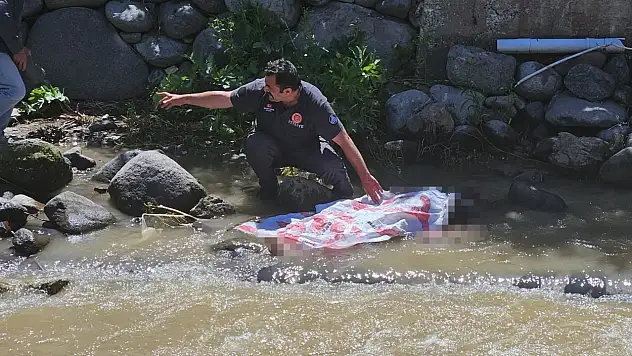 Erzurum'da piknik faciası: Köprüden dereye düşen genç yaşamını yitirdi