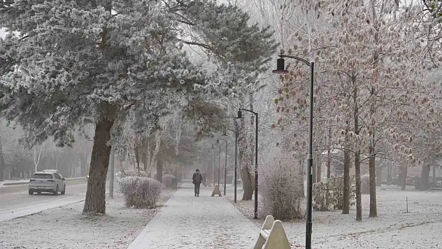 Erzurum'da soğuk hava ve sis etkisiyle buzlanma uyarısı yapıldı