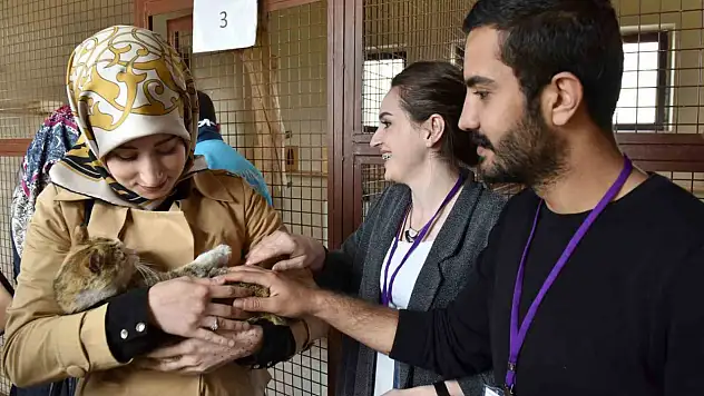 Erzurum'da sokak hayvanları için modern bakım merkezi müjdesi