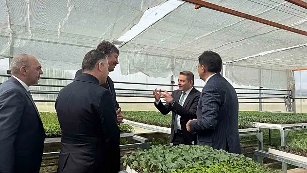 Erzurum'da Tarım Lisesi, 190 bin fide ile çiftçilere büyük destek sağlıyor