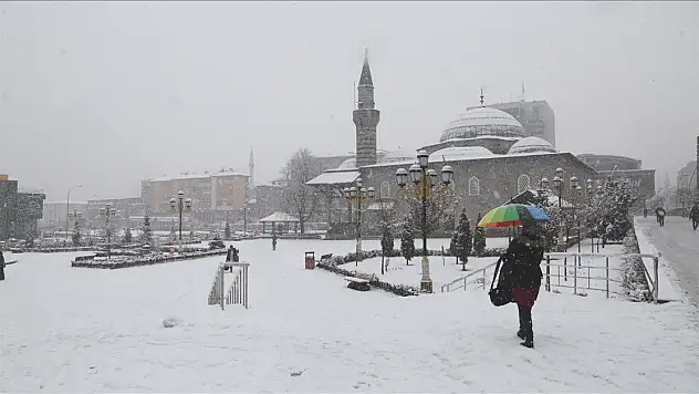 Erzurum'da üç ilçede okullar tatil edildi