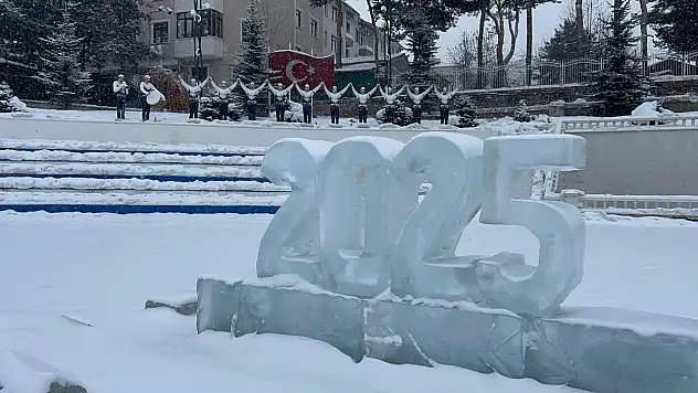 Erzurum'da yoğun kar yağışı