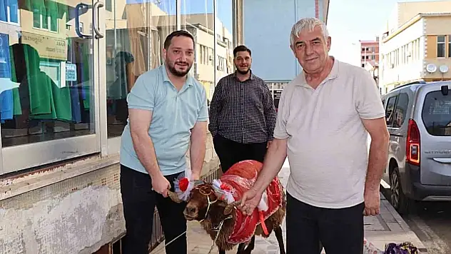 Erzurum geleneği: Nişanlıya kurbanlık koç hediye edildi