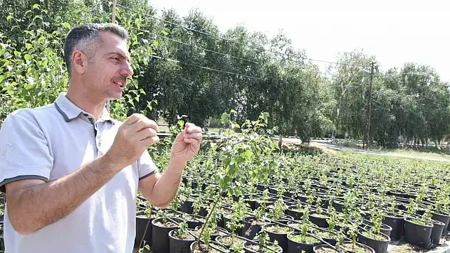 Erzurum Orman Bölge Müdürü Karakurt Yıl Sonuna Kadar 908 Bin Fidan Toprağa Kazandırılacak