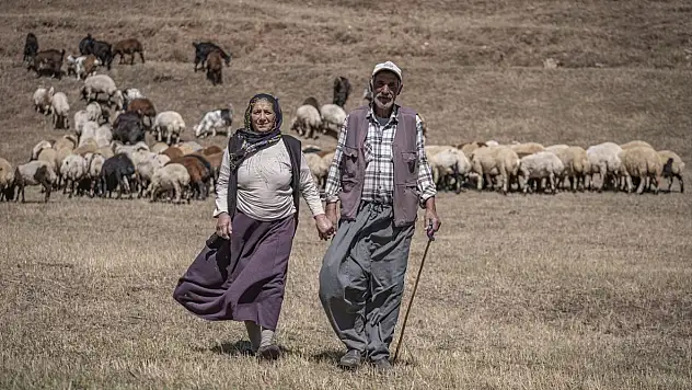 Erzurum'un dağlarında 50 yıldır aynı hayatı paylaşıyorlar