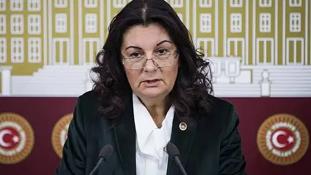 Eski Bursa Milletvekili Prof. Dr. Lale Karabıyık kimdir, kaç yaşında, neden öldü?