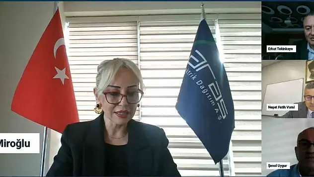 Finance Network Summit 2025'te Aras Elektrik CFO'su Miroğlu'dan mali stratejilere dair önemli bilgiler