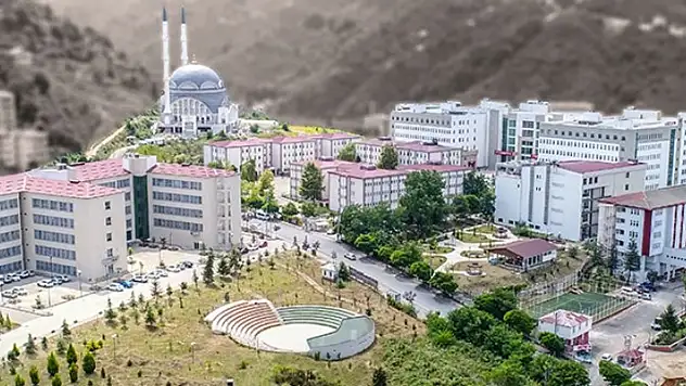 Giresun Üniversitesi 16 Öğretim Üyesi Alıyor: Başvuru Detayları ve Kadrolar