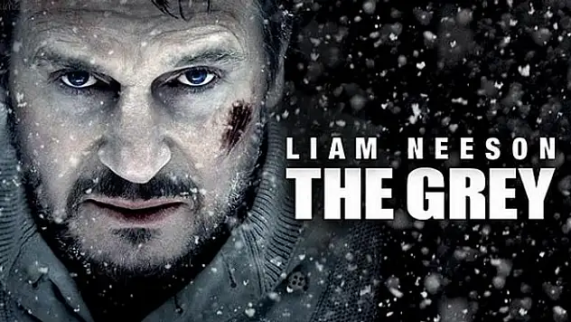 Gri Kurt Filmi Oyuncuları ve Konusu, Gerçek mi?