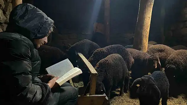 Ağrı'da gündüz hayvanlara bakıyor gece hayalleri için çalışıyor