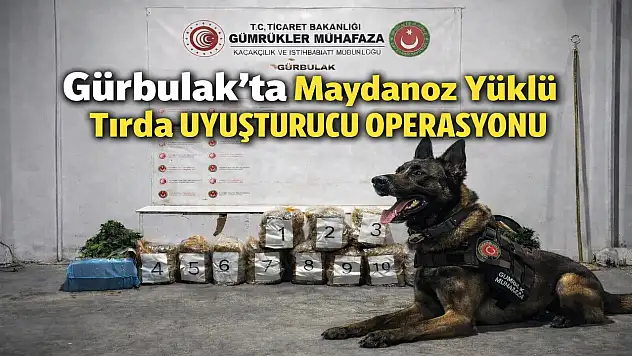 Gürbulak'ta şüpheli tır alarmı: Maydanoz yerine esrar çıktı!