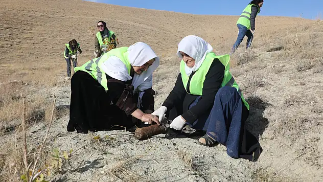 Gürpınar Belediyesi'nden Anlamlı Fidan Dikme Etkinliği
